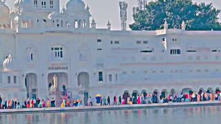 Wmk❤️❤️