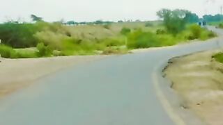 Road Trip