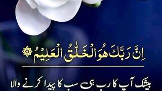 Holy Quran reciting