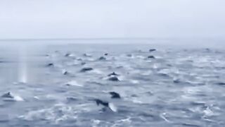 Places That dont feel Real On Earth part 1