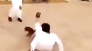 Fanny video