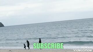 UAE beach