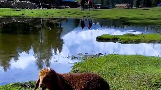 Beauty of nature