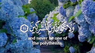 Tliwat e Quran