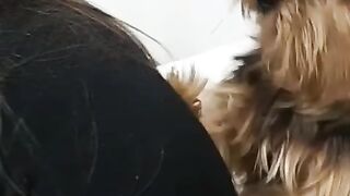 Cachorrinho Massagista.