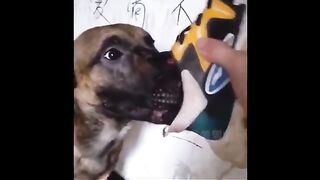 Try to resist laughter in first 20 sec