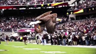 1 in a Million NFL Moments