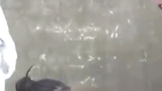 Ajudando pessoas  de rua