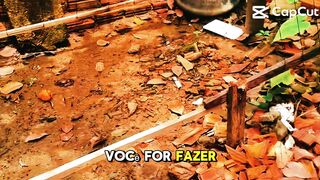 Plantar é bom demais