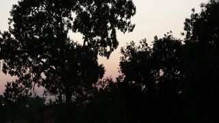 SUNRISE TIMELAPSE