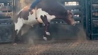 Rodeio em touros treino!! Bull riding practice!!
