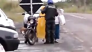bode louco atacando pessoa