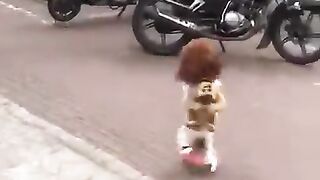 Cachorrinho 2
