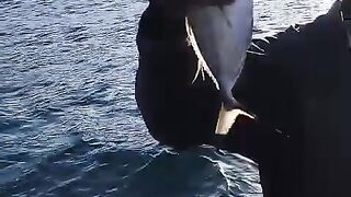 Pescaria em Alto mar