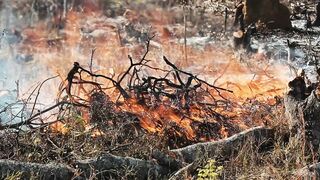 BURNINGS 2
