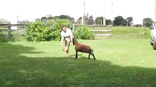 COM BODE NINGUEM PODE