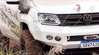 Amarok de Manobras