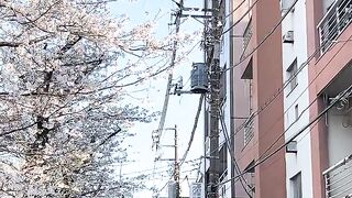 Japan🤍🇯🇵