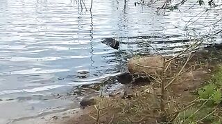 Lago no agreste de Pernambuco