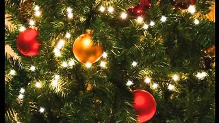 O espírito natalino chegou! 🎄✨