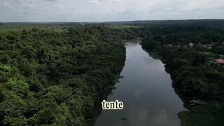 O mas importante Bioma do Brasil