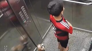nunca deixe uma criança SOZINHA no elevador!#shorts #curiosidades #crianças  #cachorro