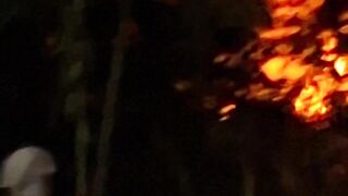 Large forest fire