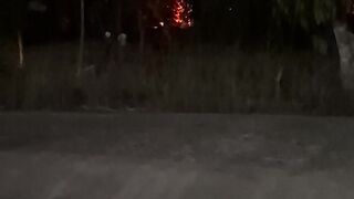 Very scary forest fires