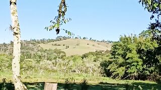 Natureza life