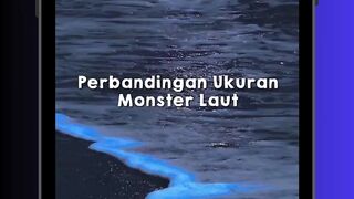 Monster Laut Mana yang Paling Gede? 👀🌊  #monsterlaut  #makhluklaut #laut #ocean #misterilaut #fyp