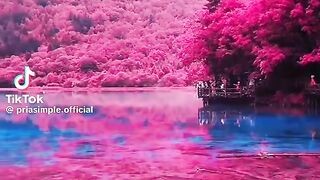 Amazing Place 17