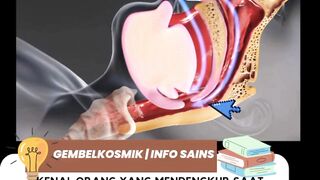 mekanisme ngorok