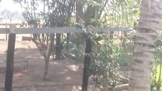 🌈 VAI PRA FAZENDA ORAR E DEPOIS VOLTA PRA CIDADE ORA EVANGELIZAR