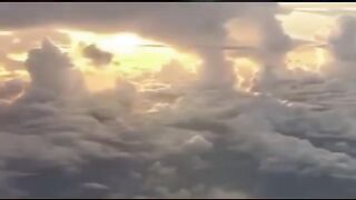 O Grande  Despertar da Consciência