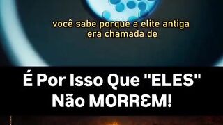 O Grande  Despertar da Consciência 4