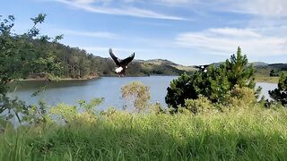 Piracaia, fantastic nature.