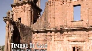 TIMBRE DE GALO_PEDRO ORTAÇA