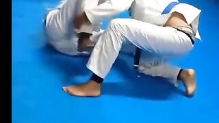 Brazilian jiu-jitsu