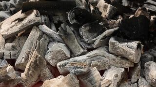 CHARCOAL BURNING