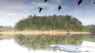Nature relaxing in lake