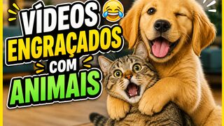 VÍDEOS ENGRAÇADOS_ANIMAIS ENGRAÇADOS