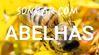 SONHAR COM ABELHA