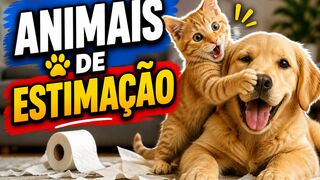 VIDEOS ENGRAÇADOS COM ANIMAIS DE ESTIMAÇÃO