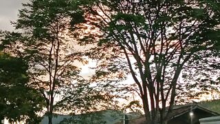 Nature city