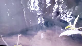 Olha os peixes 🐟 🐠