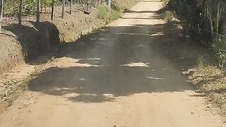 Vida de caminhoneiro