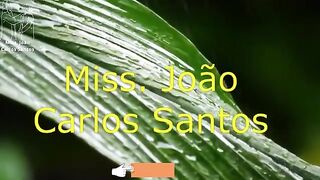 A INGRATIDÃO.