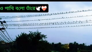 gmail acc.....ounts yahoo acc.......ounts github acc......... ounts facebook acc.........ounts.............. 2