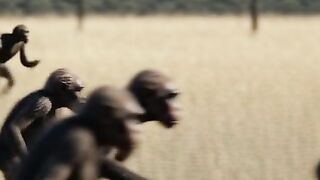 Australopithecus: Before Humans Walked Like Us 3