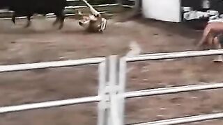 Rodeio 2